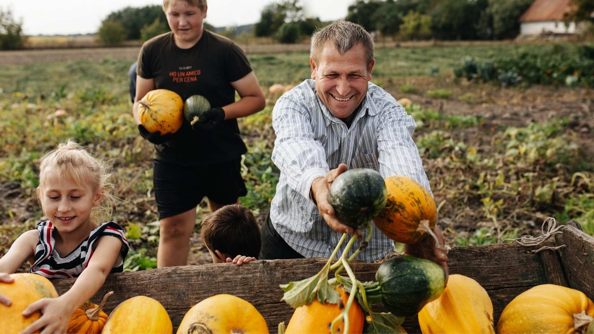 Father with children loading harvested pumpkins onto a cart.