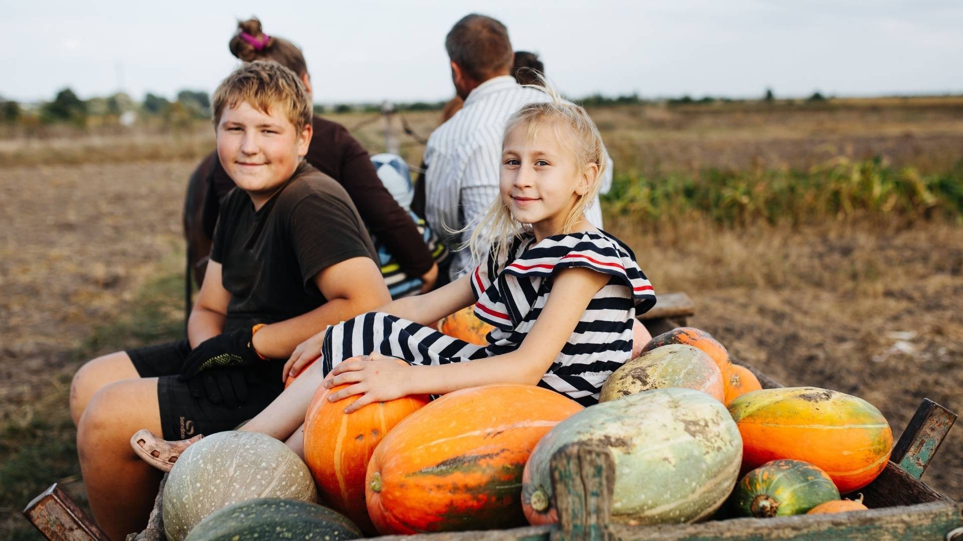 Two young children sitting on the back of a cart filled with harvested pumpkins