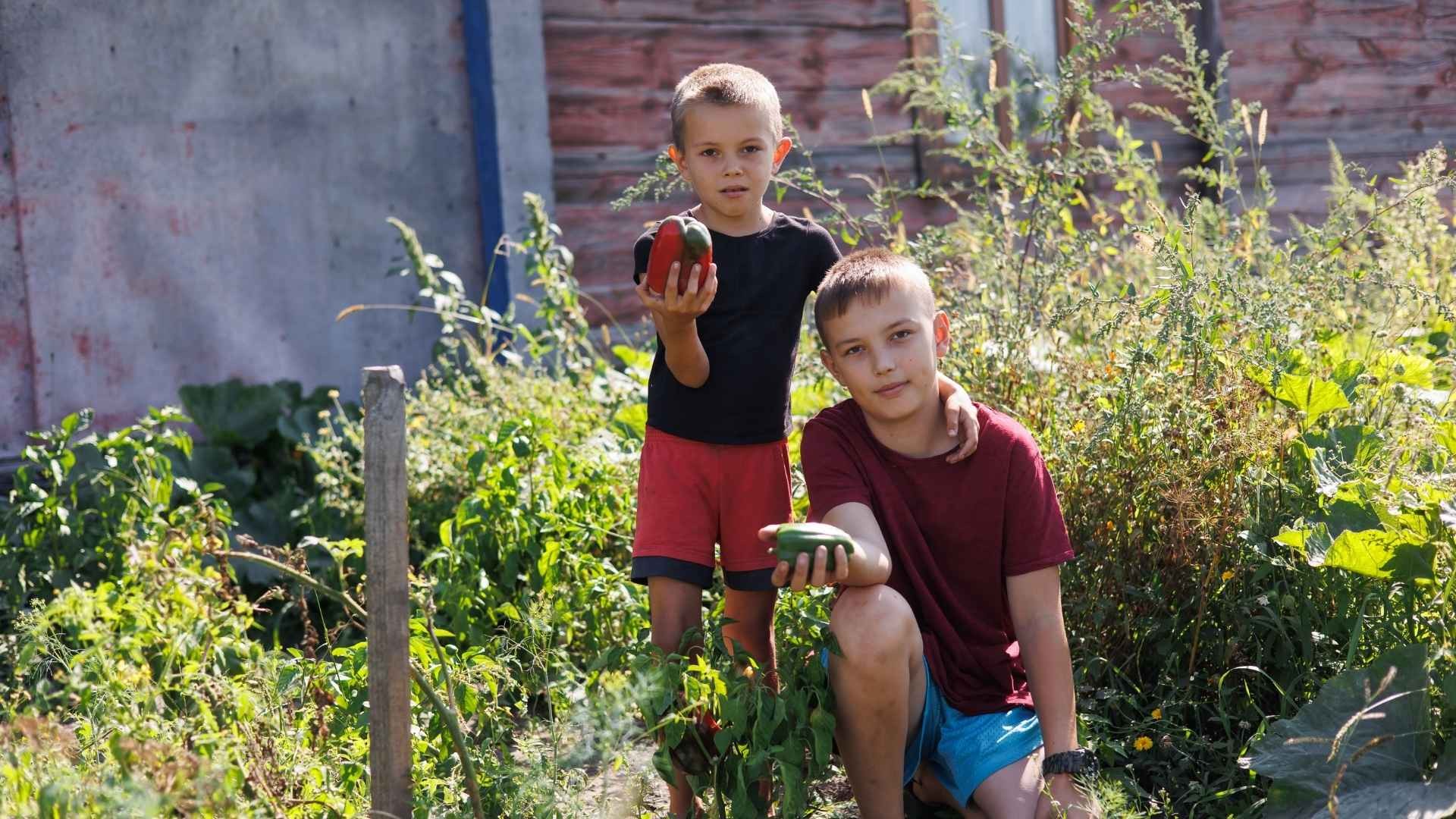 Two young boys holding peppers, sitting in a vegetable garden