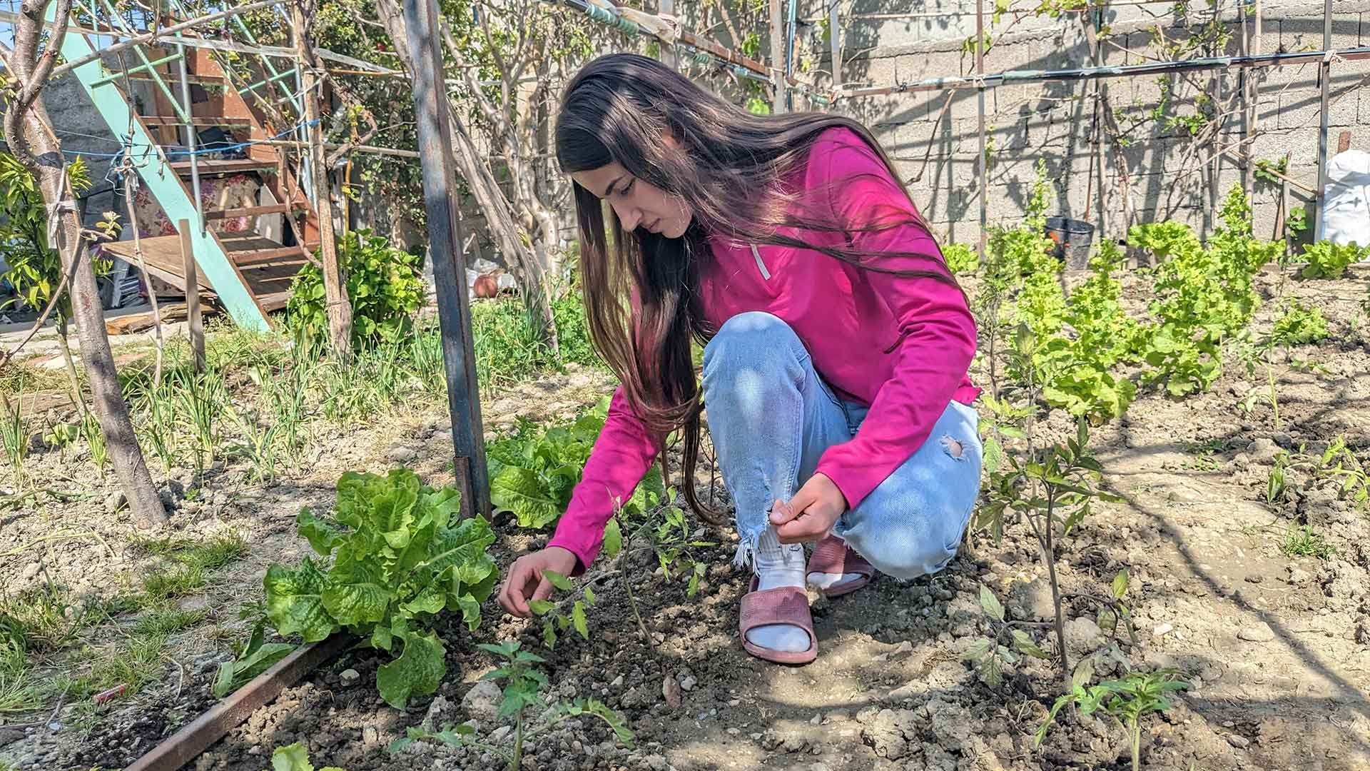 Young woman with dark hair in a pink long-sleeve sweater kneeling in a vegetable garden, pulling weeds.
