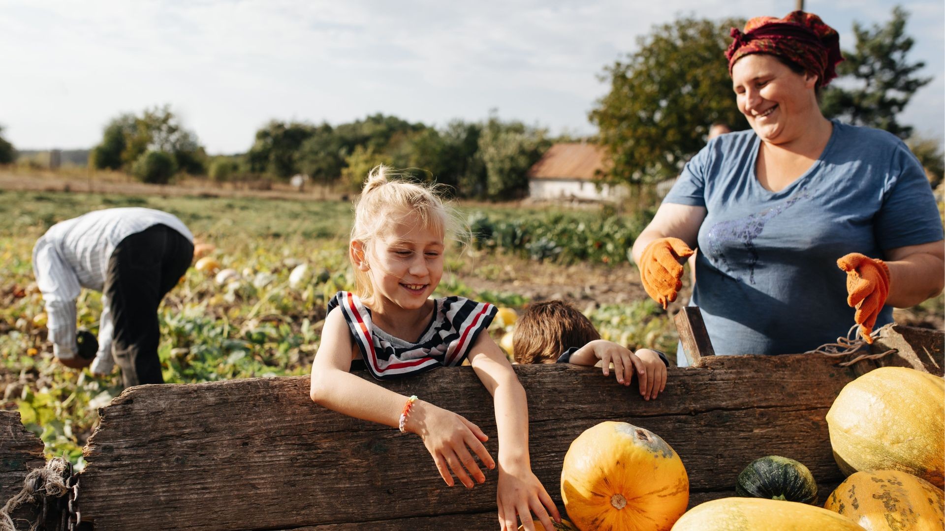 Mother wearing a headscarf and gloves loads pumpkins onto a wagon in a field, with her children helping.